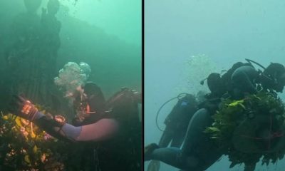 San Giuseppe, patrono di Ladispoli: la corona deposta sul fondale del mare nello Scoglio del Corallo (foto: Luigi Cicillini)