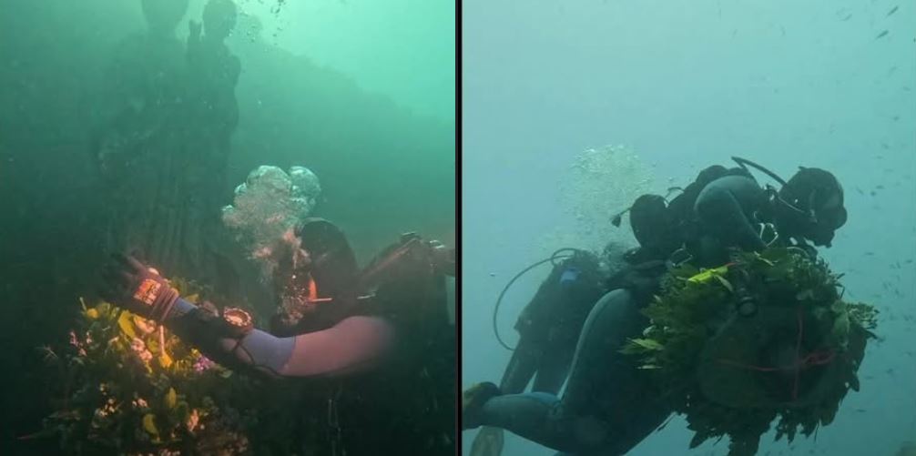 San Giuseppe, patrono di Ladispoli: la corona deposta sul fondale del mare nello Scoglio del Corallo (foto: Luigi Cicillini)